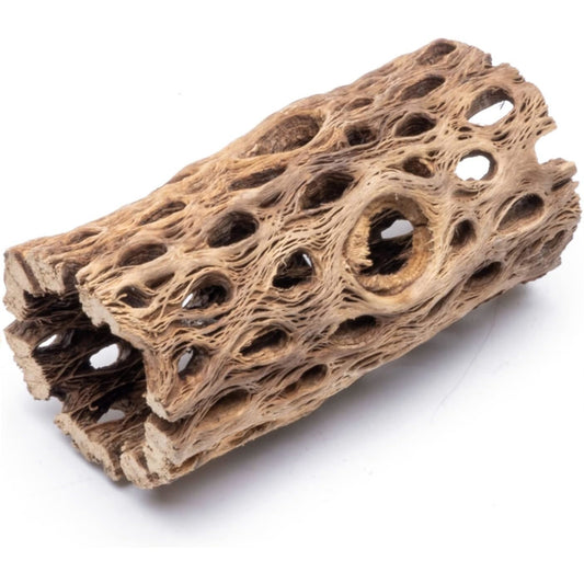 Cholla Wood for Shrimp