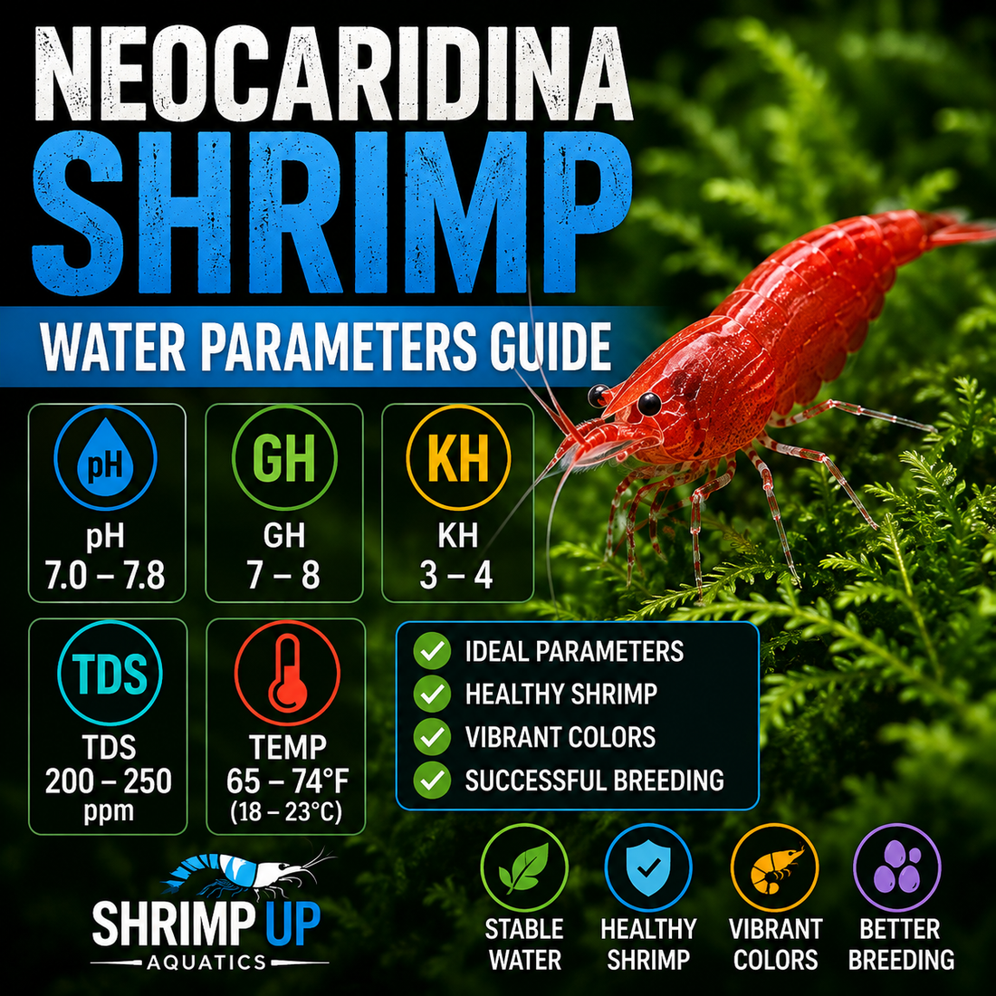 Neocaridina shrimp water parameters guide showing ideal pH, GH, KH, TDS and temperature for freshwater shrimp