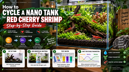 Red Cherry shrimp in a planted nano aquarium with a step-by-step tank cycling guide showing ammonia, nitrite, nitrate, beneficial bacteria, and water testing.