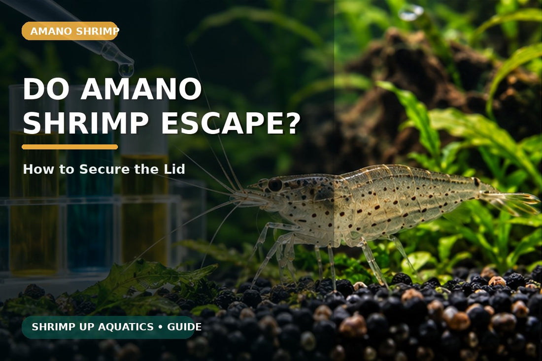 Amano shrimp escape prevention and aquarium lid guide
