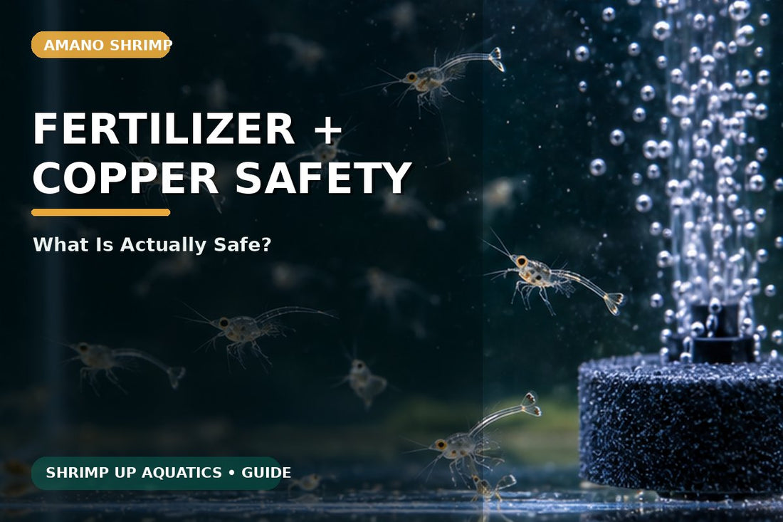 Amano shrimp safety guide for liquid plant fertilizer and copper