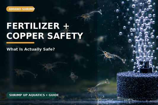 Amano shrimp safety guide for liquid plant fertilizer and copper