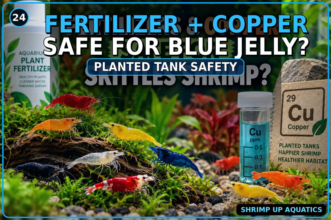 Fertilizer and copper safety for Blue Jelly Shrimp