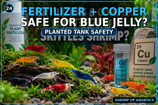 Fertilizer and copper safety for Blue Jelly Shrimp