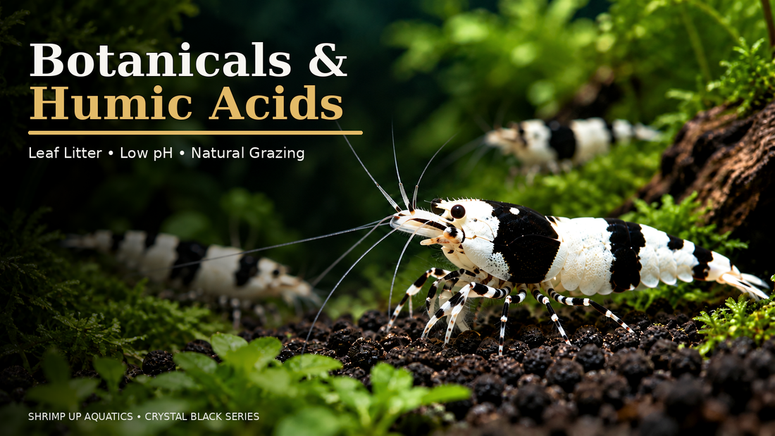 Crystal Black Shrimp botanicals and humic acids thumbnail in the saved Crystal Red editorial template style
