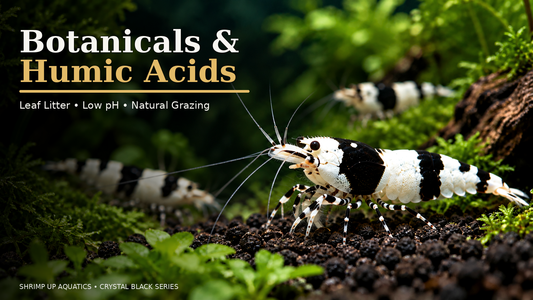Crystal Black Shrimp botanicals and humic acids thumbnail in the saved Crystal Red editorial template style