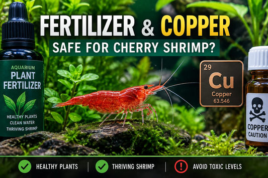 Red Cherry Shrimp in planted aquarium with fertilizer and copper safety comparison