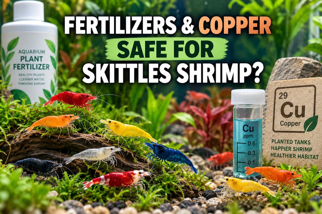 Colorful Skittles shrimp in a planted aquarium beside liquid fertilizer and a copper safety test