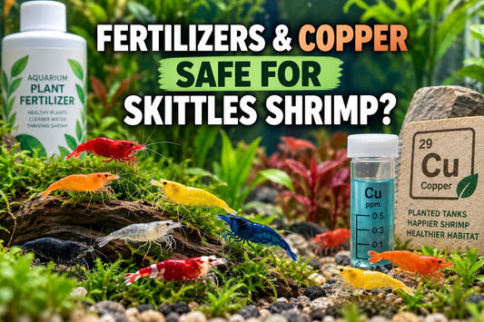 Colorful Skittles shrimp in a planted aquarium beside liquid fertilizer and a copper safety test