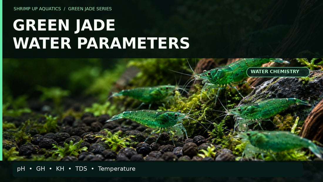 Green Jade shrimp in a planted aquarium with a large water-parameters title covering pH GH KH and TDS