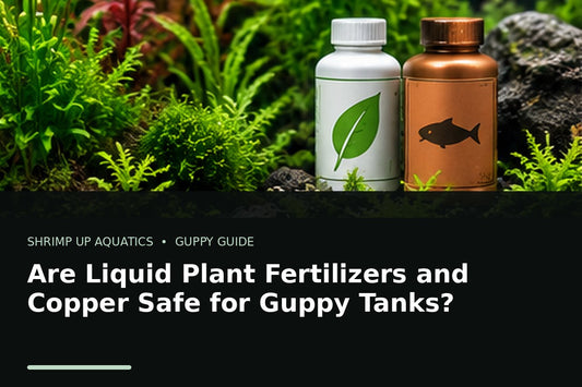Planted guppy aquarium with liquid fertilizer bottles for copper and fertilizer safety guidance