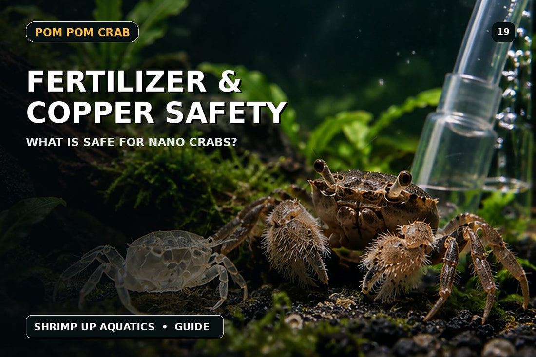 Pom Pom Crab fertilizer and copper safety in planted aquariums thumbnail