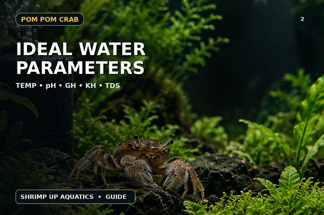 Pom Pom Crab water parameters thumbnail covering temperature pH hardness TDS and salinity