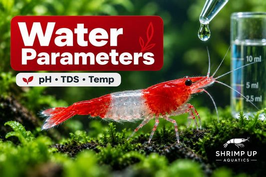 Red Rili Shrimp water parameters pH TDS and temperature