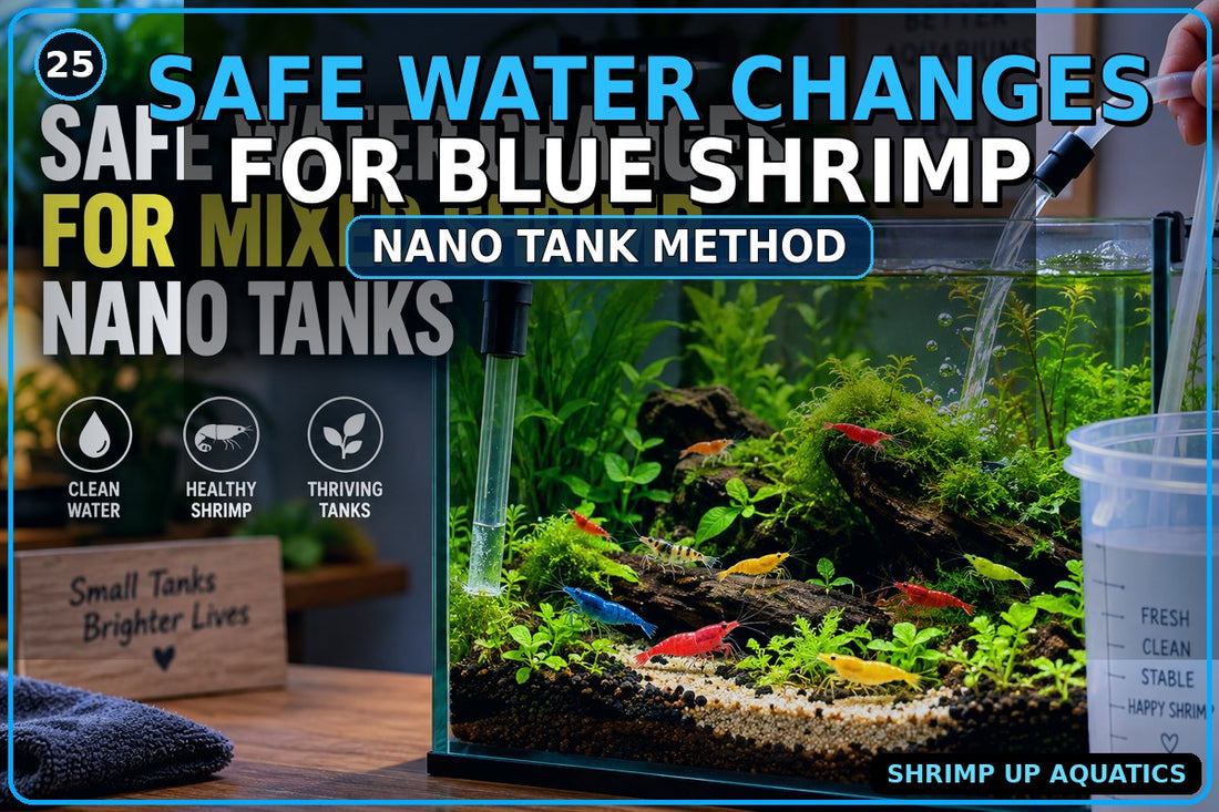 Safe water changes for a Blue Shrimp nano tank