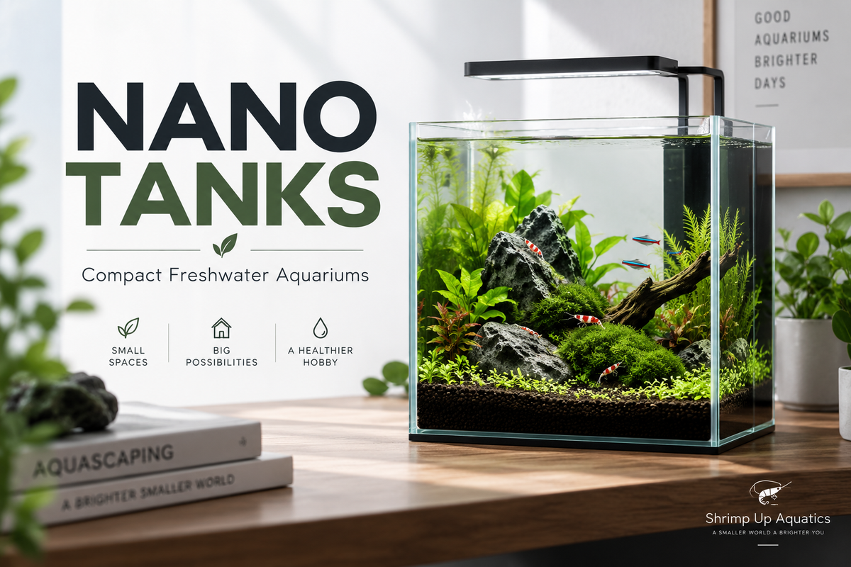 Nano Tanks