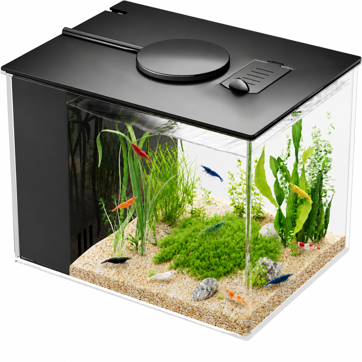 1 gallon acrylic nano aquarium kit with LED light, built-in filter and colorful freshwater shrimp