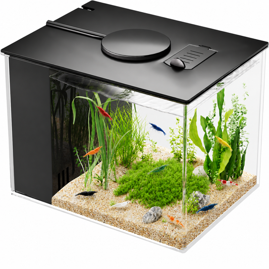 1 gallon acrylic nano aquarium kit with LED light, built-in filter and colorful freshwater shrimp