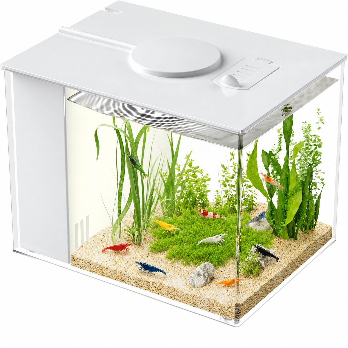 1 gallon acrylic nano aquarium kit with integrated LED lighting and concealed filtration