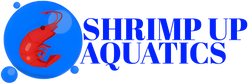 Shrimp Up Aquatics!