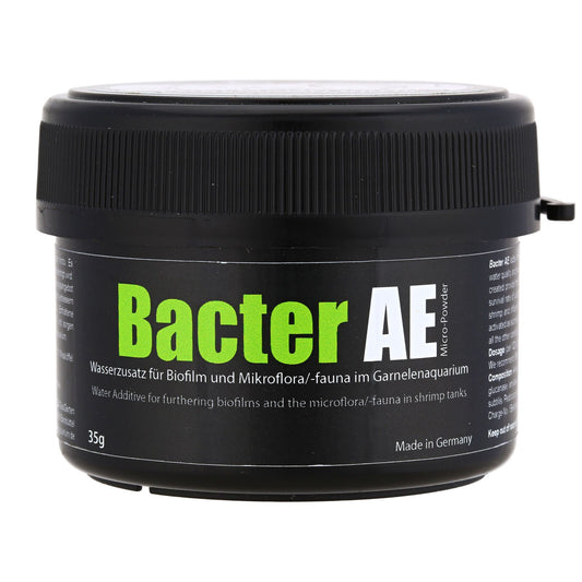 Optimize Shrimp Health with Bacter AE